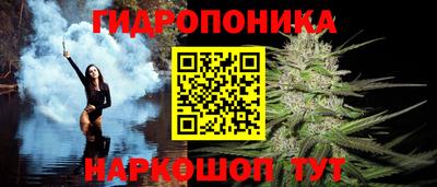 соль ск Гатчина