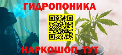 кокс Гагарин