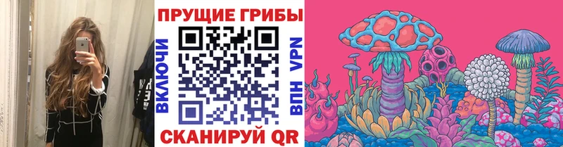 Псилоцибиновые грибы Magic Shrooms  Новокубанск 