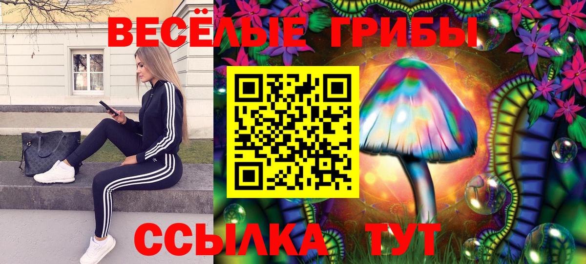 Псилоцибиновые грибы Cubensis  Вход с VPN  Новокубанск  Псилоцибиновые грибы MAGIC MUSHROOMS 