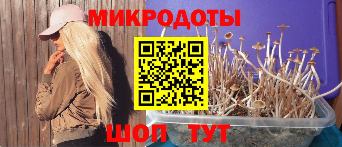 Галлюциногенные грибы ЛСД Новокубанск